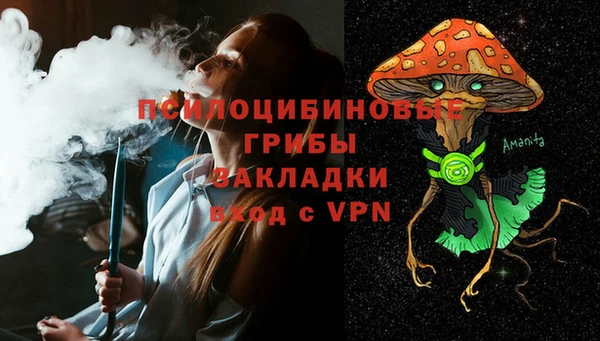 PSILOCYBIN Богданович